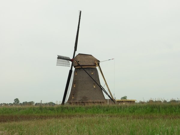 goudriaansemolengoudriaan22052020 3